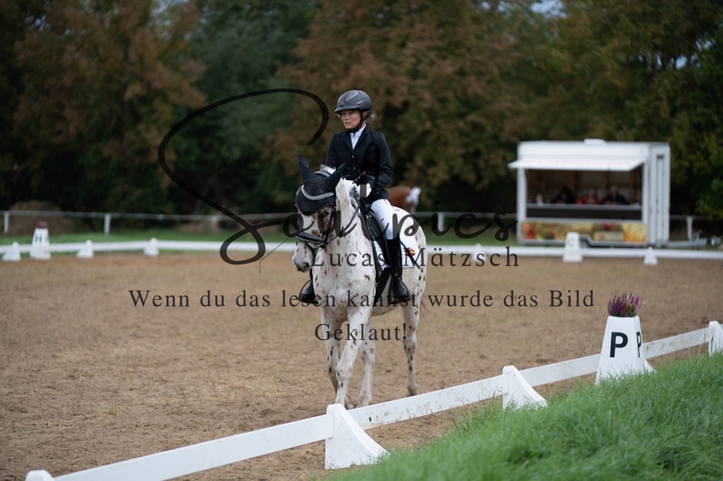 A7V04997 | Pferdefotograf