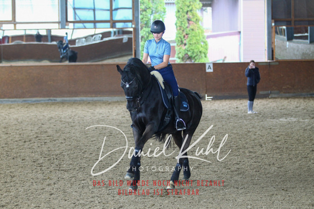 DKP42736 | Turniersportfotografie; Pferdefotografie; Dressurfotografie