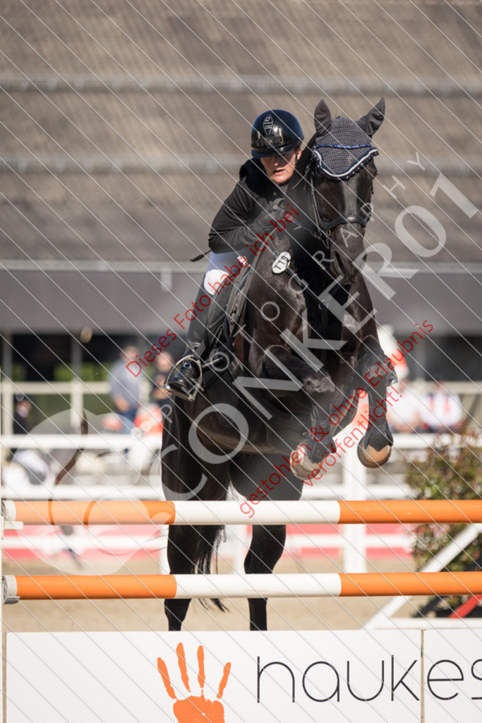 IMG_3377 | Sport-, Event- und Tierfotos in Profiqualität. Einfach auswählen, bestellen und herunterladen. Dein Moment – perfekt festgehalten.