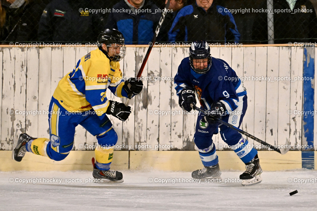 ELV Zauchen vs. EC Tigers Paternion  | #29 Wohlfahrt Philipp ELV Zauchen, #9 Gratzer Julian EC Tigers Paternion, ELV Zauchen vs. EC Tigers Paternion , ELV Zauchen vs. EC Tigers Paternion  am 02.01.2025 in Eisoval Zauchen (Stadthalle Villach), Austria, (Photo by Bernd Stefan)