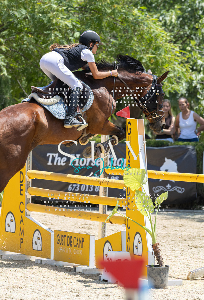 IMG_7547 | s-jay-photography - Realisiert mit Pictrs.com