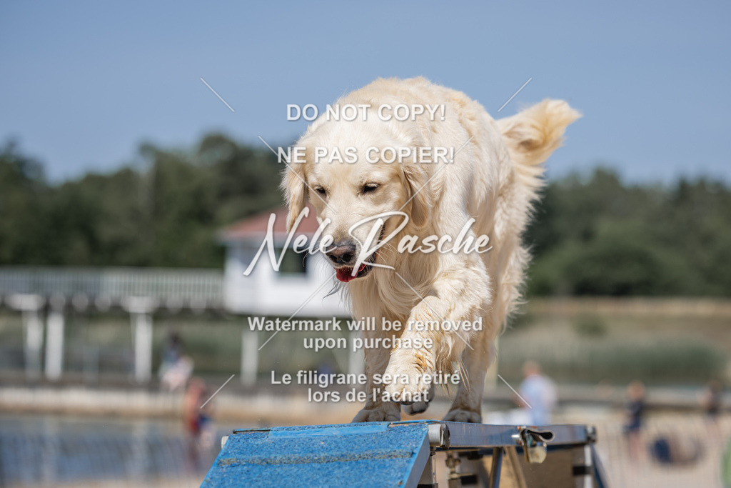 nelerasche_saBeachility_503 | nelerasche