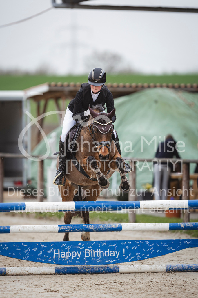 240330_Fruehlingsfest_Stil-A1_U30-447 | Deine schönsten Turniermomente als professionelle Fotos! Entdecke hochwertige Pferdesport-Fotografie im Online-Shop. Jetzt Fotos finden & bestellen!