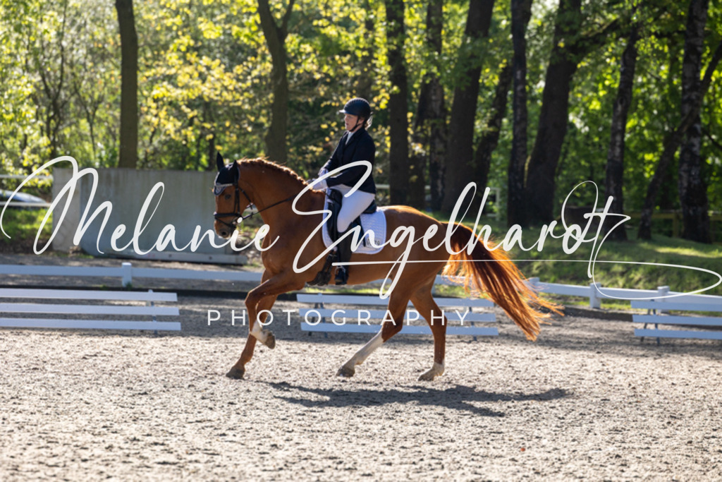 7I8A7278 | melanie-engelhardt-photography - Realisiert mit Pictrs.com