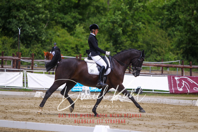 DKP40682 | Turniersportfotografie; Pferdefotografie; Dressurfotografie