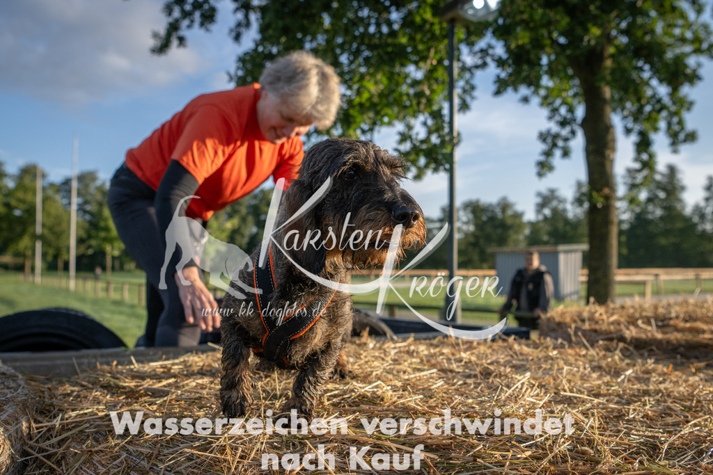 0806_ZZ90301 | kk-dogfotos