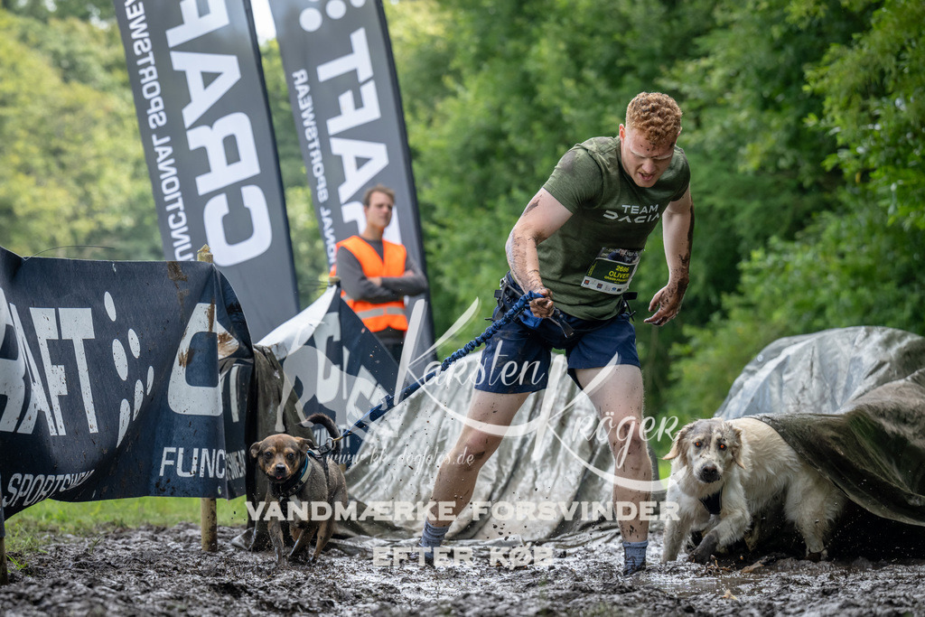 1136_ZZ93682 | kk-dogfotos