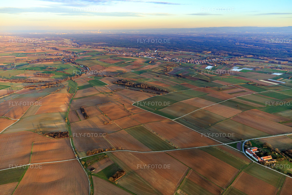 Luftbild: Otterbachtal am Abend mit Blick zum Bienwald und nach Osten in Kapsweyer im Bundesland Rheinland-Pfalz in Deutschland. Foto: IMG_097436.jpg vom 10.03.2017 durch Werner Riehm/FLY-FOTO.de