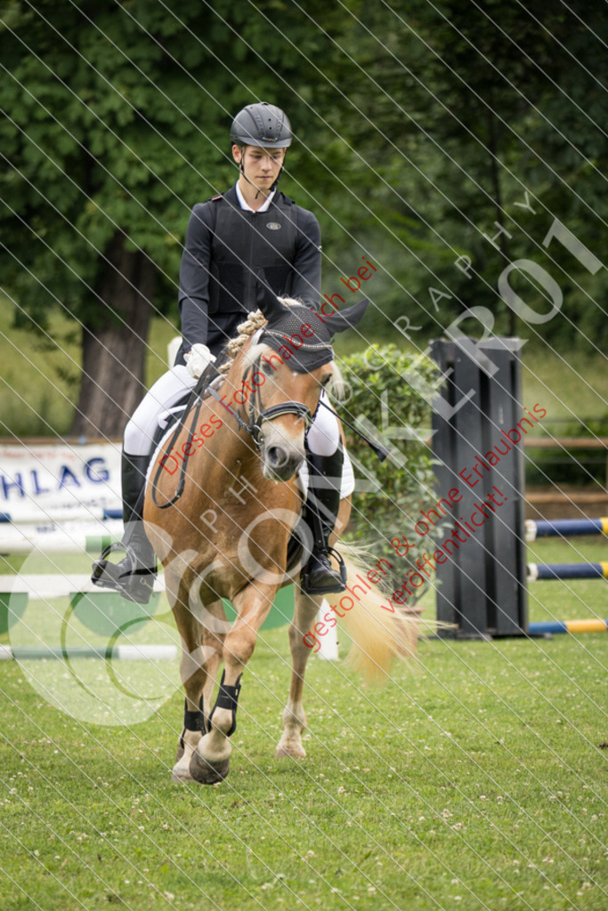 IMG_2239 | Sport-, Event- und Tierfotos in Profiqualität. Einfach auswählen, bestellen und herunterladen. Dein Moment – perfekt festgehalten.