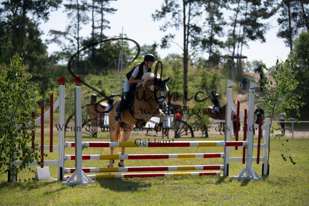 A7V05456 | Pferdefotograf