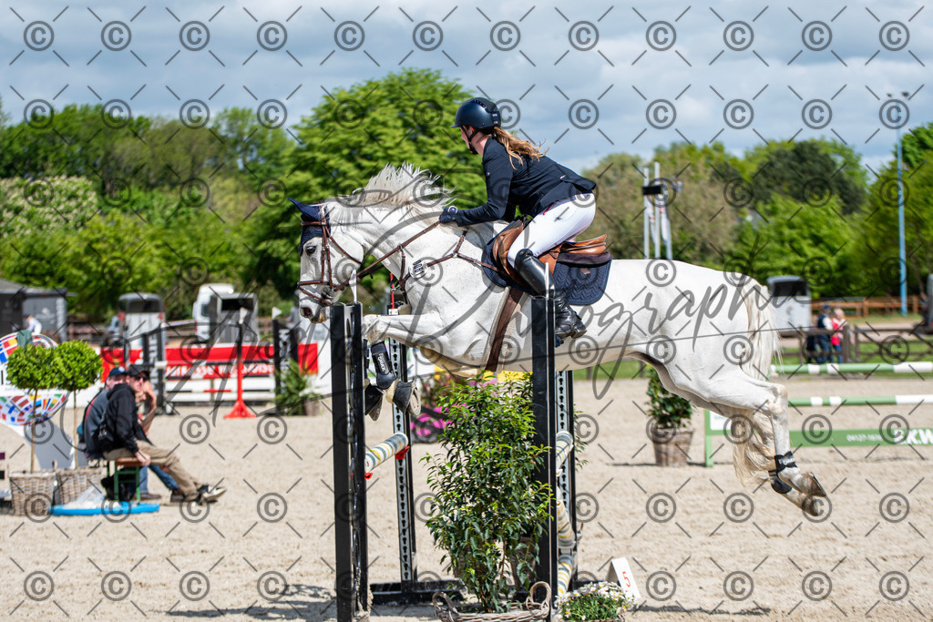 KPT_5230 | andre_photographic