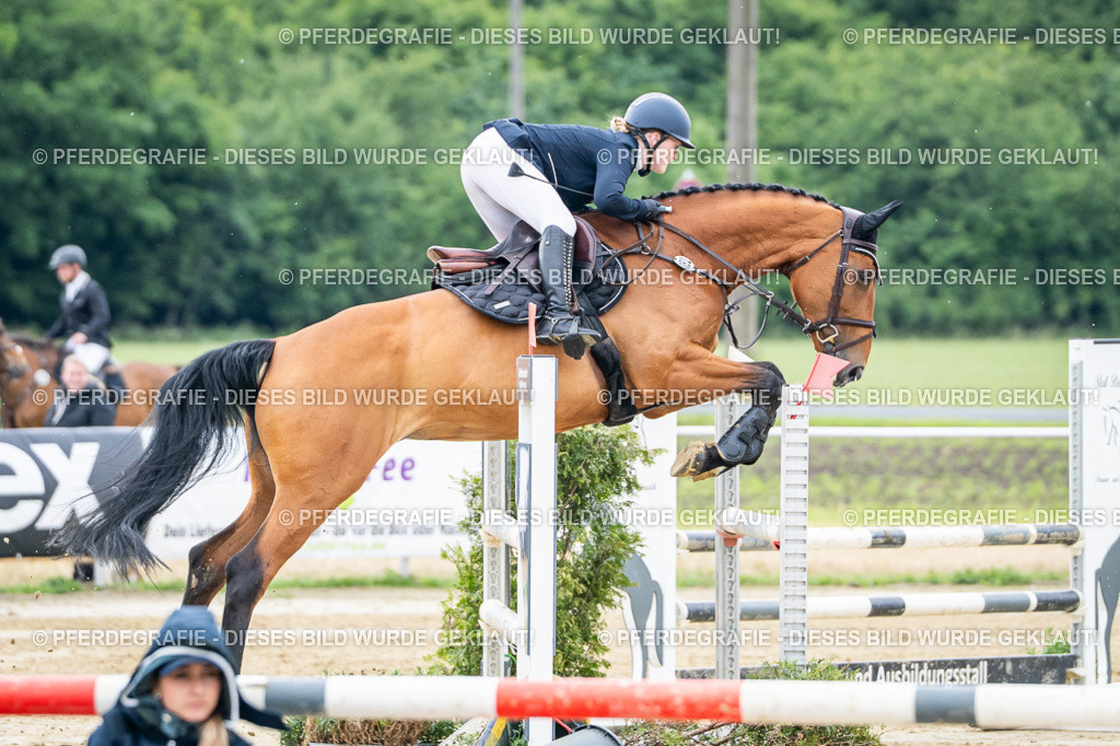 DSC04729 | Pferdegrafie