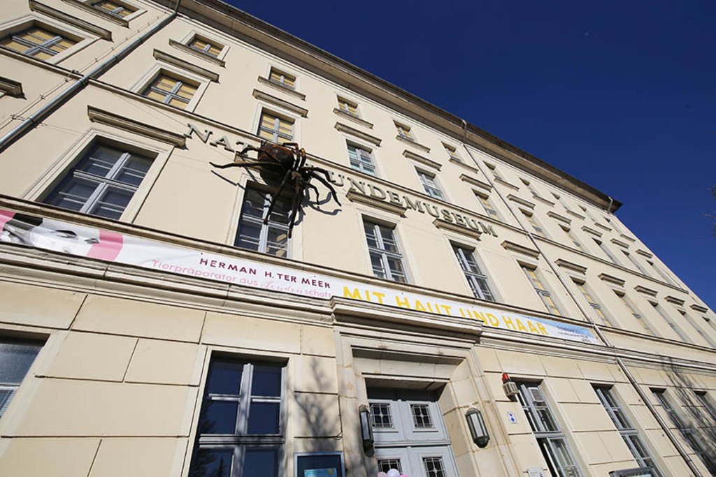 Foto: Leipzig - Naturkundemuseum Leipzig | Das Team hinter BILDLEXIKON LEIPZIG bündelt historische wie aktuelle Informationen über die Stadt Leipzig in Text und Bild auf einer Plattform und stellt diese der interessierten Öffentlichkeit zur Verfügung.