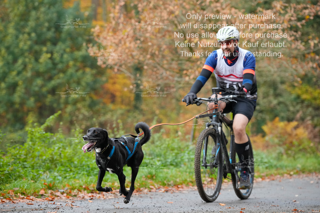 Bike_So-127 | stephaniefillaphotographie - Realisiert mit Pictrs.com