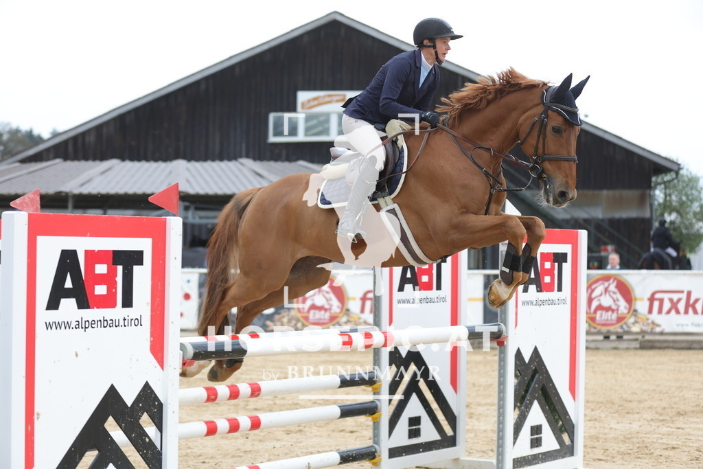 0P6A3850 | Willkommen bei Brunnmayr - Design & Fotografie – Ihrem Spezialisten für Reitturniere und Pferdeveranstaltungen in Oberösterreich, Salzburg und Bayern! Seit über 17 Jahren sind wir leidenschaftlich dabei.