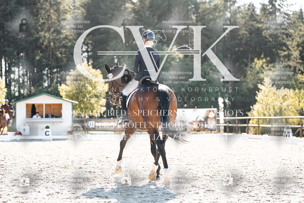 CK906461 | Turnierfotografie Pferdefotografie Trier Rheinland-Pfalz Pferdesport Reitsport Tierfotografie Sportfotografie Pferdevideo Pferdevideografie Equestrianvideography equestrianphotography  - Realisiert mit Pictrs.com