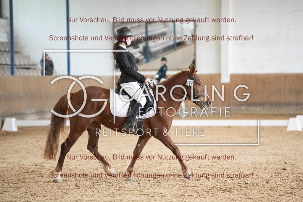 DSC01944 | Reitturnier_Göppingen_April_2026, franziska_hausmann, Pume_46