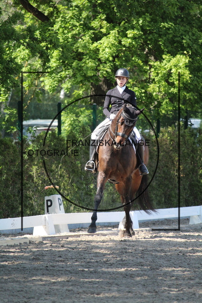 IMG_4949 | franziskalange - Realisiert mit Pictrs.com