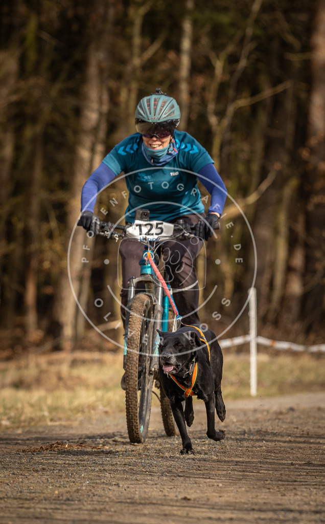 DV3A4523 | Hundefotografie, Tierfotograf, Pfotenfotografie, Fotoshooting Hund, Hunde Portrait, Hundesport, Hundeportraits, Heideshooting, Hunde, Sportfotograf, Hundefotograf, Turnierhundsport, THS,  - Realisiert mit Pictrs.com