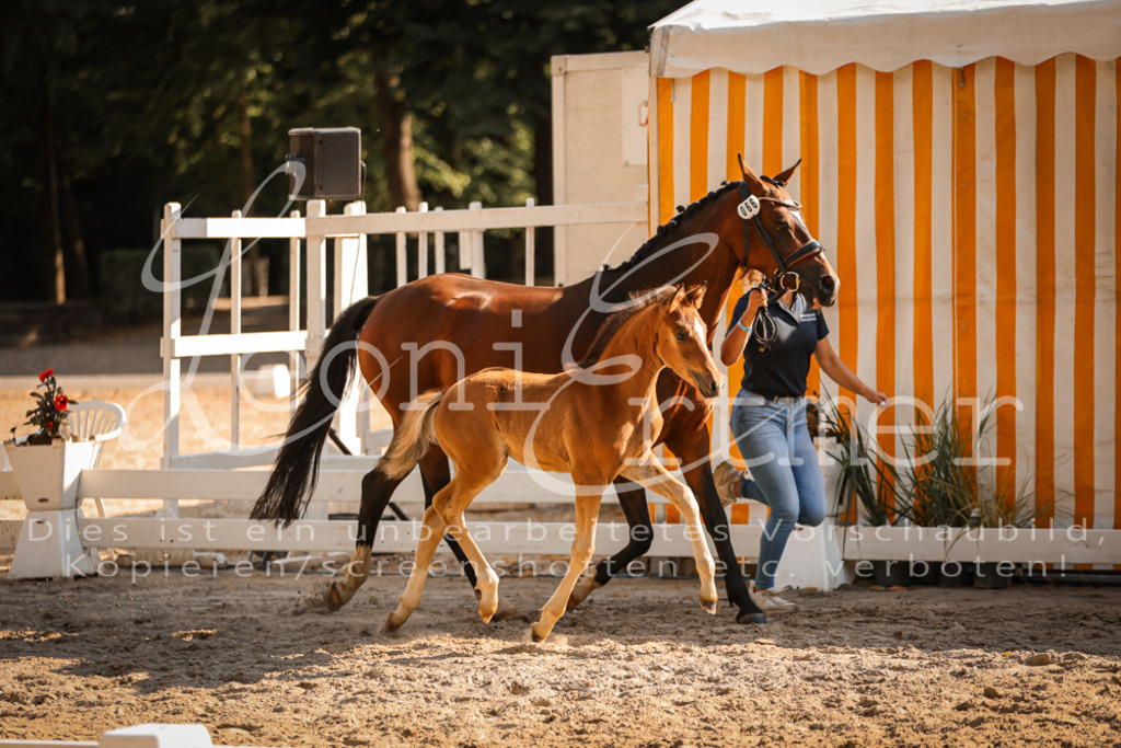 11.DoRP00171 | Leoni Ertmer Photography - Realisiert mit Pictrs.com