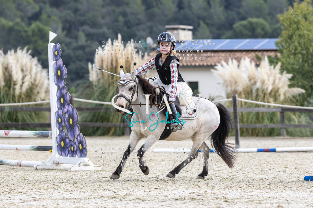 IMG_2293 | s-jay-photography - Realisiert mit Pictrs.com