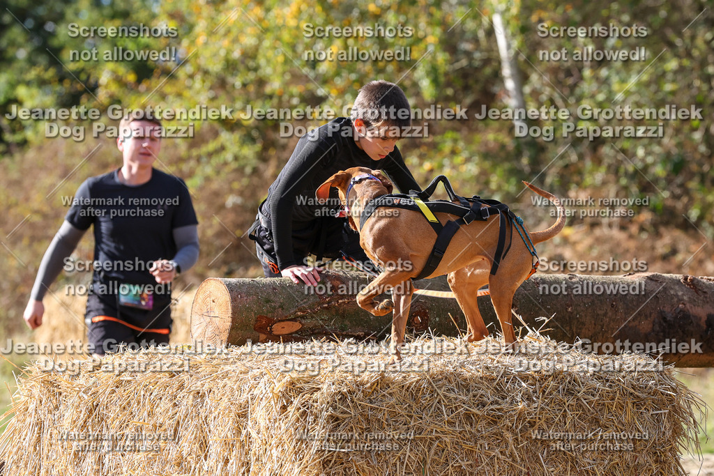 Dog Paparazzi - Strongdog 10-25-5471 | Dog Paparazzi Jeanette Grottendiek Fotografie & Videografie - Realisiert mit Pictrs.com