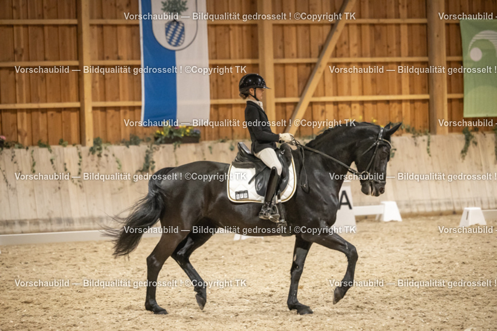 _D5A0704 | Emotionale Pferde- & People-Fotografie rund um Heidelberg, Leimen & Umgebung. Natürliche Fotos von Pferd, Mensch & Familie. Jetzt Termin sichern!