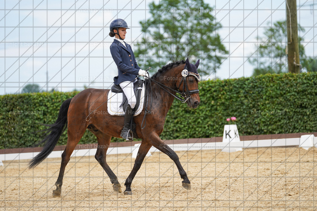20240630-FAH02229 | Turnierbilder Schwabmünchen, Dressurbilder, Springreitturnier, Reitsportbilder, Turnierfotografen Bayern, Turnierfotograf