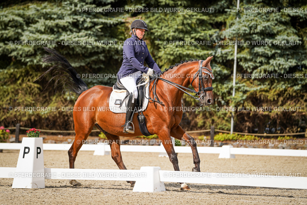 DSC07244 | Pferdegrafie