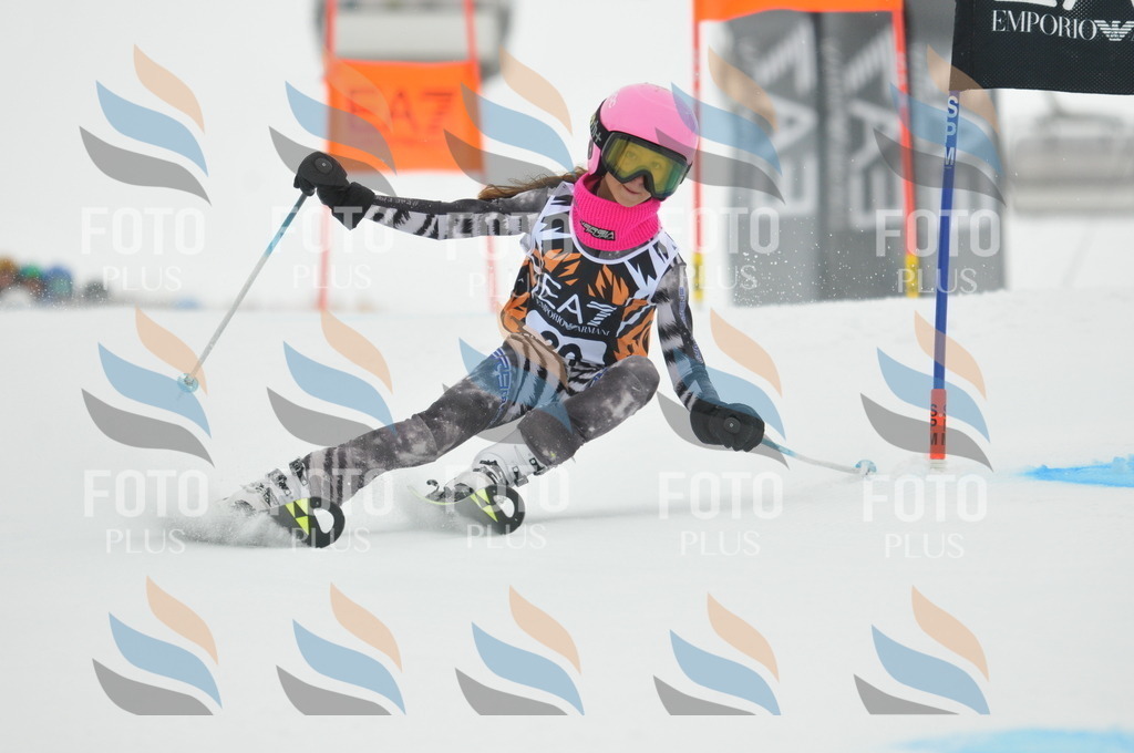 DSC_7543 | holidayphoto