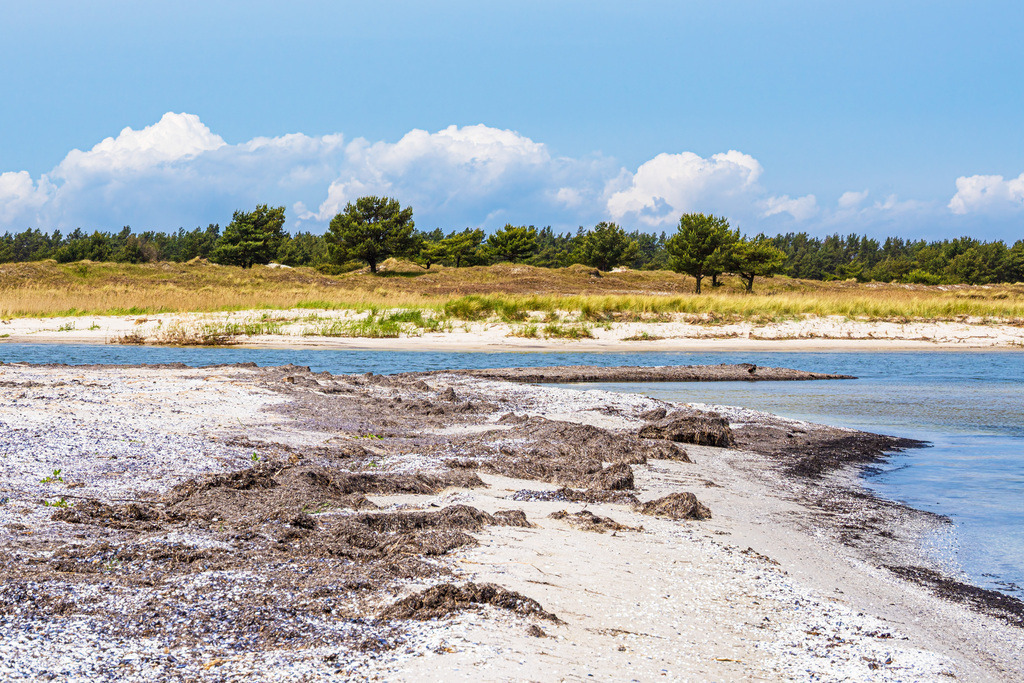 Ostseeküste am ehemaligen Nothafen Prerow auf dem Fischland-Darß | Ostseeküste am ehemaligen Nothafen Prerow auf dem Fischland-Darß.