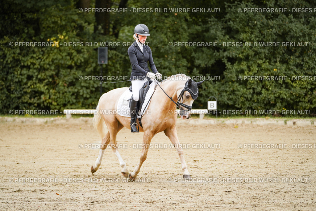 DSC08620 | Pferdegrafie