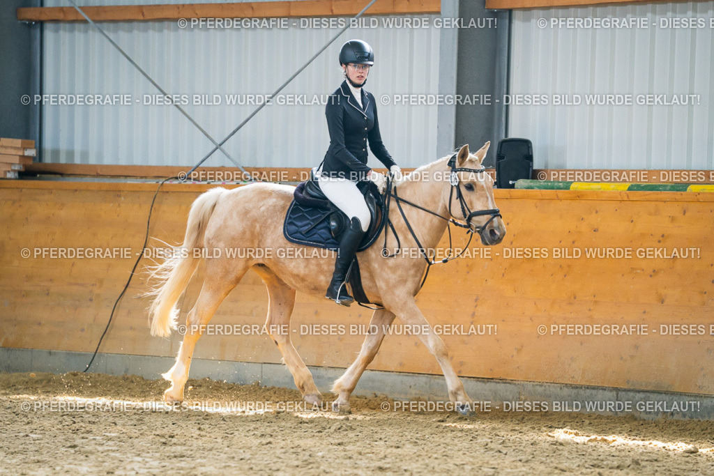 DSC01796 | Pferdegrafie