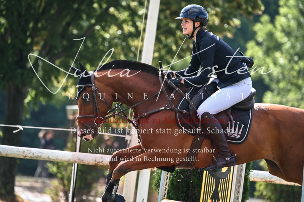 DSC_7906 | Pferde- und Turnierfotografie in Westsachsen. Pferdeportraits, Auftragszeichnungen und intuitive Kunst.
