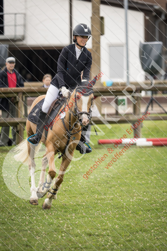 IMG_2378 | Sport-, Event- und Tierfotos in Profiqualität. Einfach auswählen, bestellen und herunterladen. Dein Moment – perfekt festgehalten.