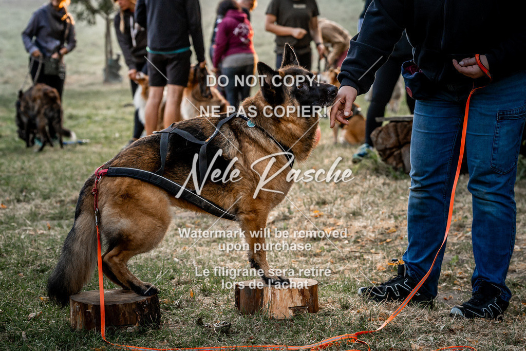 nelerasche_slaw24Sa_44 | nelerasche