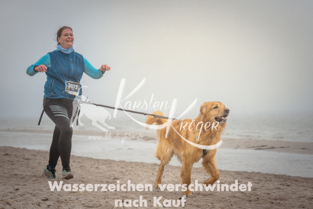 1110_ZZ97071 | kk-dogfotos
