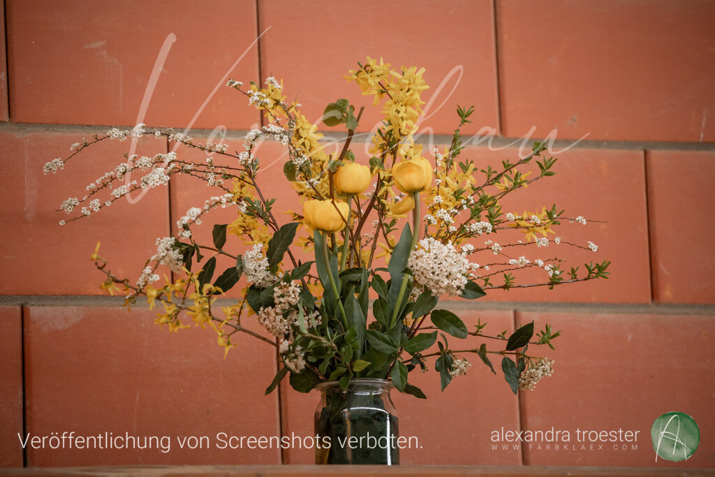 250405_Barop_06_274 | farbklaex.com