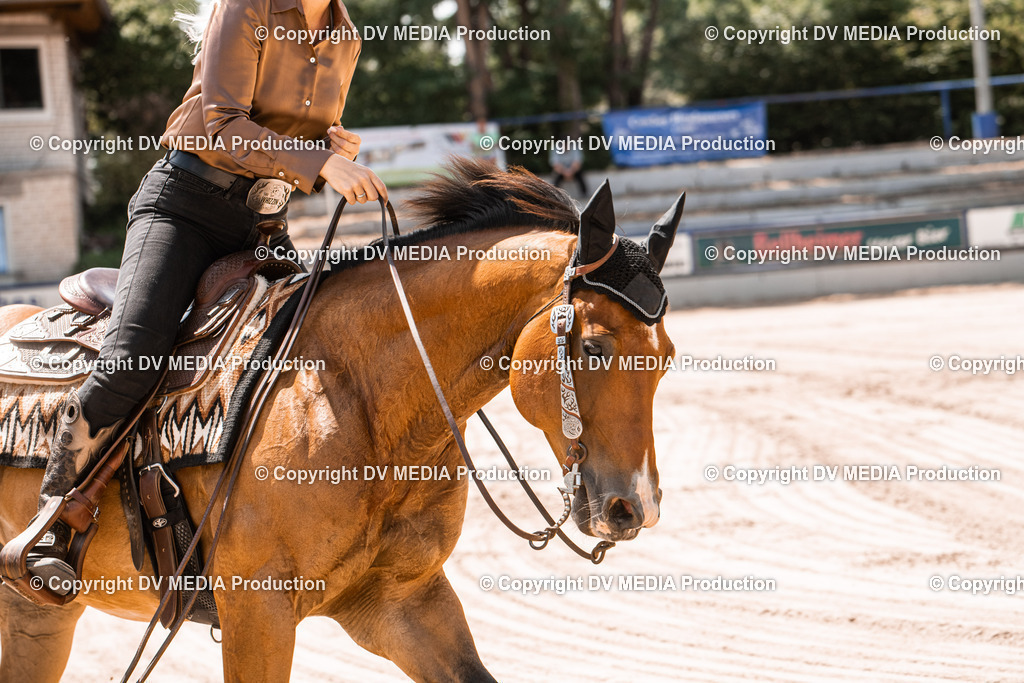 ZS3_0086 | dv-media-shop - Realisiert mit Pictrs.com