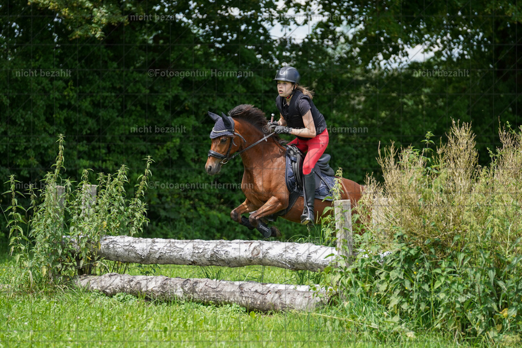 20240622-FAH07494 | Turnierfotografen Bayern, Reitsportbilder aus dem Geländekurs mit Felix Etzel auf dem Gut Waitzacker 2024