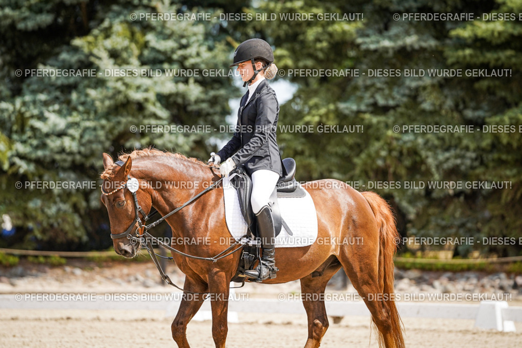 DSC02444 | Pferdegrafie