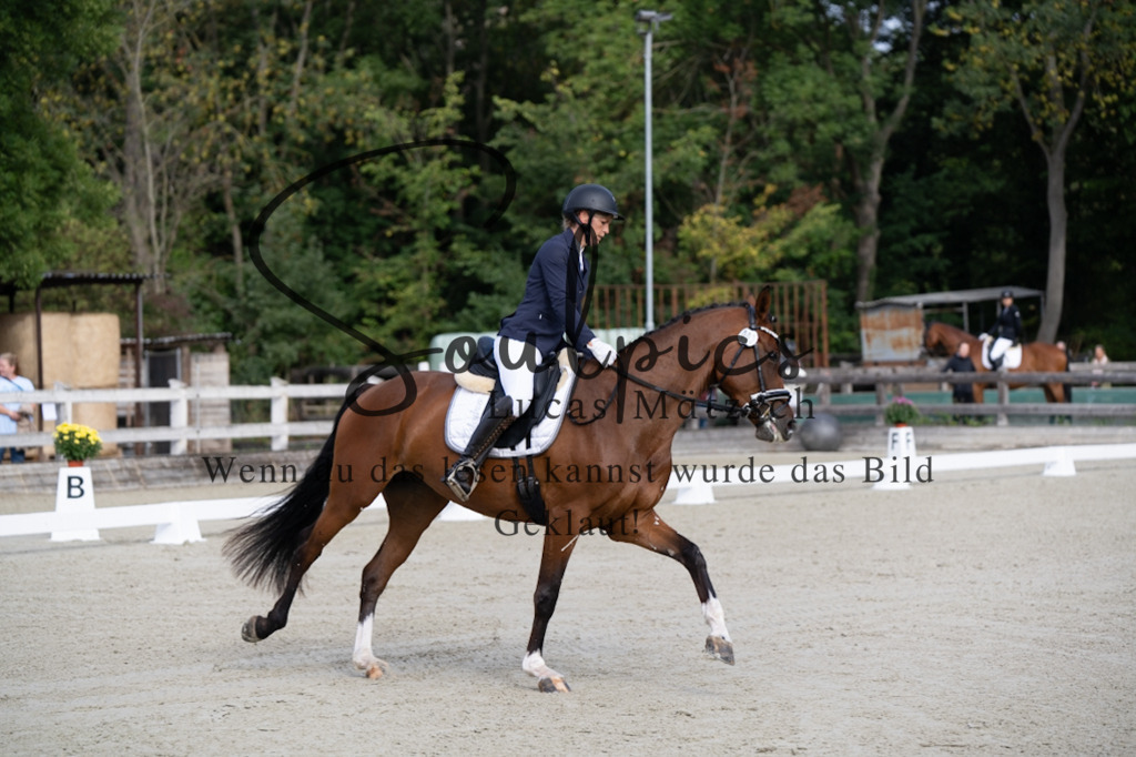 A7V06802 | Turnier/Reitfotograf