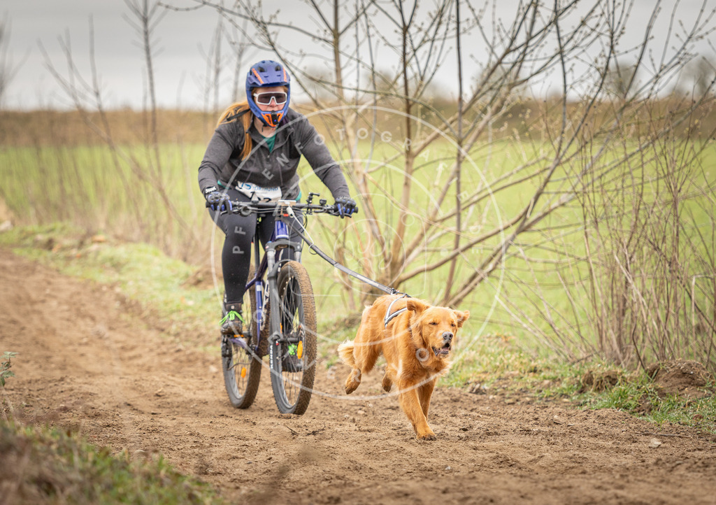 DV3A0985 | Hundefotografie, Tierfotograf, Pfotenfotografie, Fotoshooting Hund, Hunde Portrait, Hundesport, Hundeportraits, Heideshooting, Hunde, Sportfotograf, Hundefotograf, Turnierhundsport, THS,  - Realisiert mit Pictrs.com
