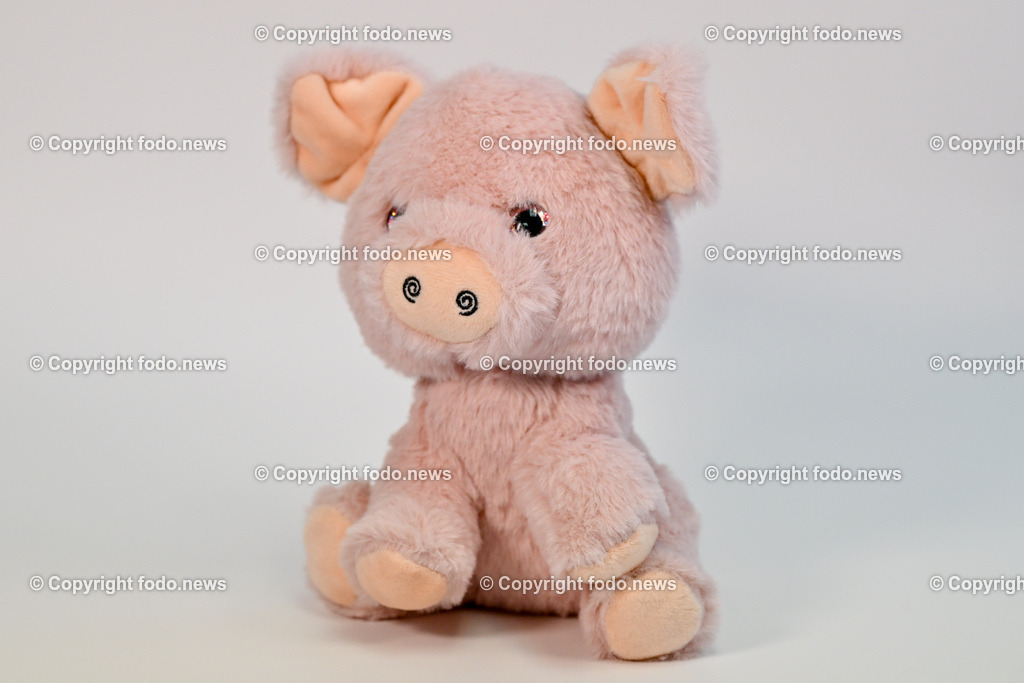 Gluecksbringer_ Silvester_ 27.12.2024-7 | 27.12.2024, Linz, AUT, Linz, Themenbilder im Bild Gluecksbringer, Glücksbringer, Gluecksymbole, Glücksymbole, Neujahr, Schwein, Pilz, Schwammerl, Rauchfangkehrer, Silvester, Jahreswechsel, Neujahr, Deko, Dekoration, Festlichkeit, Glückwunsch, Jahresbeginn, Party, Glueck, Tradition, Figur