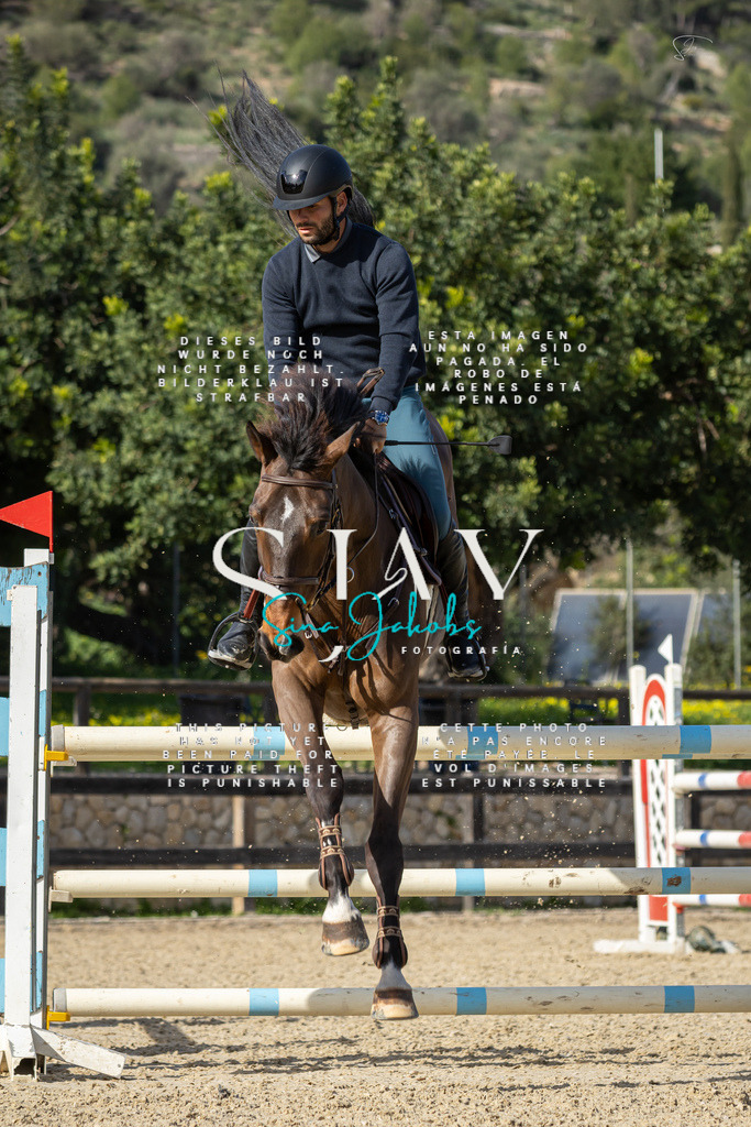 IMG_6842 | s-jay-photography - Realisiert mit Pictrs.com