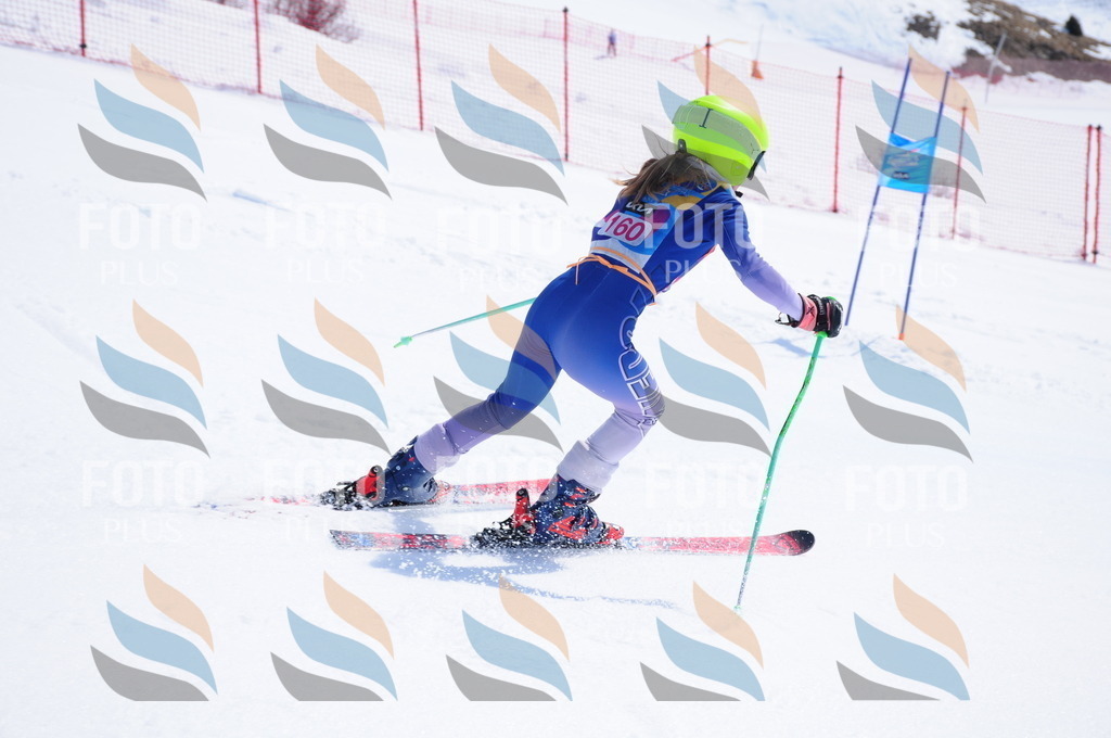 DSC_5379 | holidayphoto