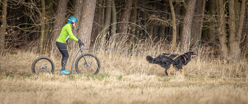 DV3A4871 | Hundefotografie, Tierfotograf, Pfotenfotografie, Fotoshooting Hund, Hunde Portrait, Hundesport, Hundeportraits, Heideshooting, Hunde, Sportfotograf, Hundefotograf, Turnierhundsport, THS,  - Realisiert mit Pictrs.com