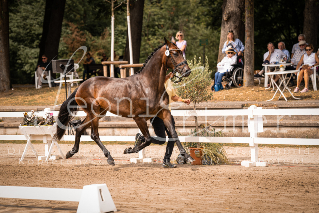 5.Fr00074 | Leoni Ertmer Photography - Realisiert mit Pictrs.com