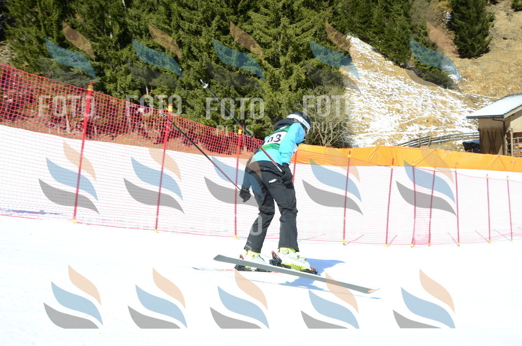 C6550 | holidayphoto