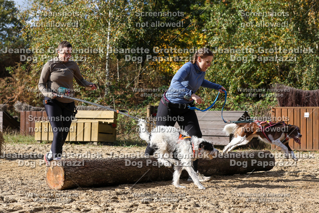 Dog Paparazzi - Strongdog 10-25-5273 | Dog Paparazzi Jeanette Grottendiek Fotografie & Videografie - Realisiert mit Pictrs.com